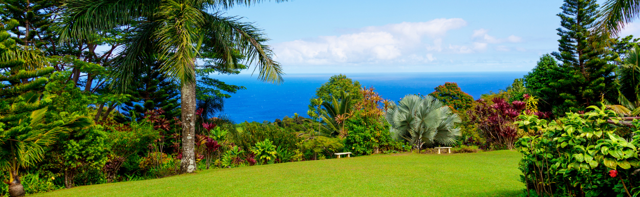 Tropical garden in wet season