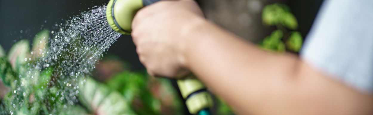 Driveway landscaping