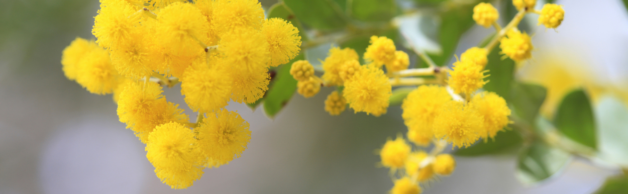 Outdoor living space