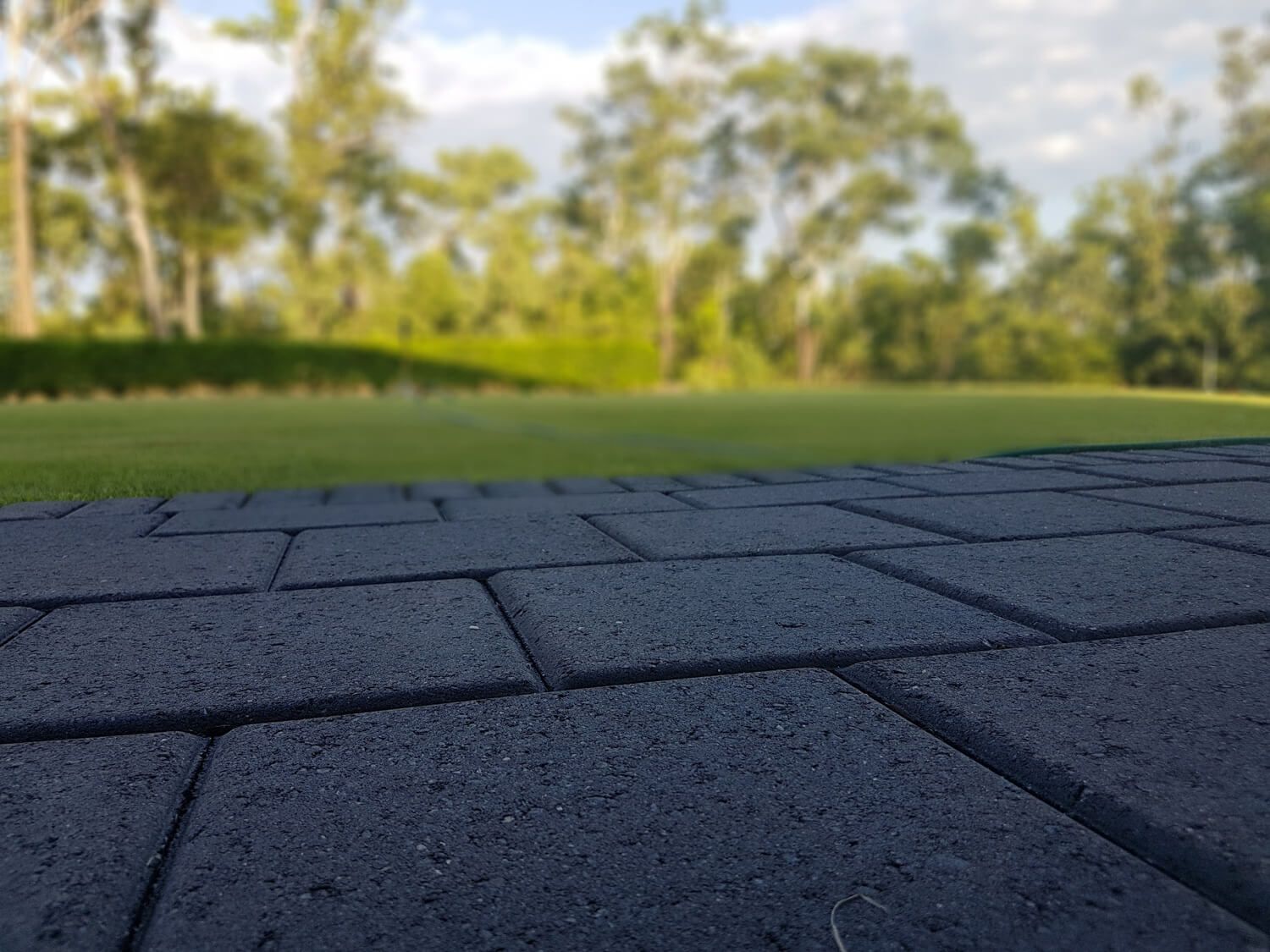 Garden transformation