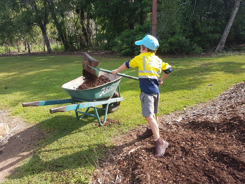 Garden Beds & Plants